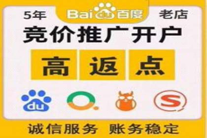 某行业领先企业背后的百度推广代理商策略
